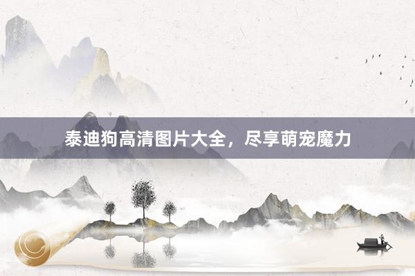 泰迪狗高清图片大全，尽享萌宠魔力