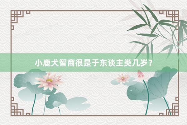小鹿犬智商很是于东谈主类几岁？