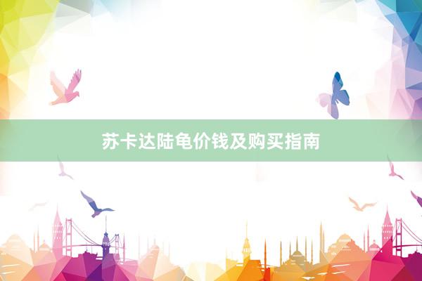 苏卡达陆龟价钱及购买指南